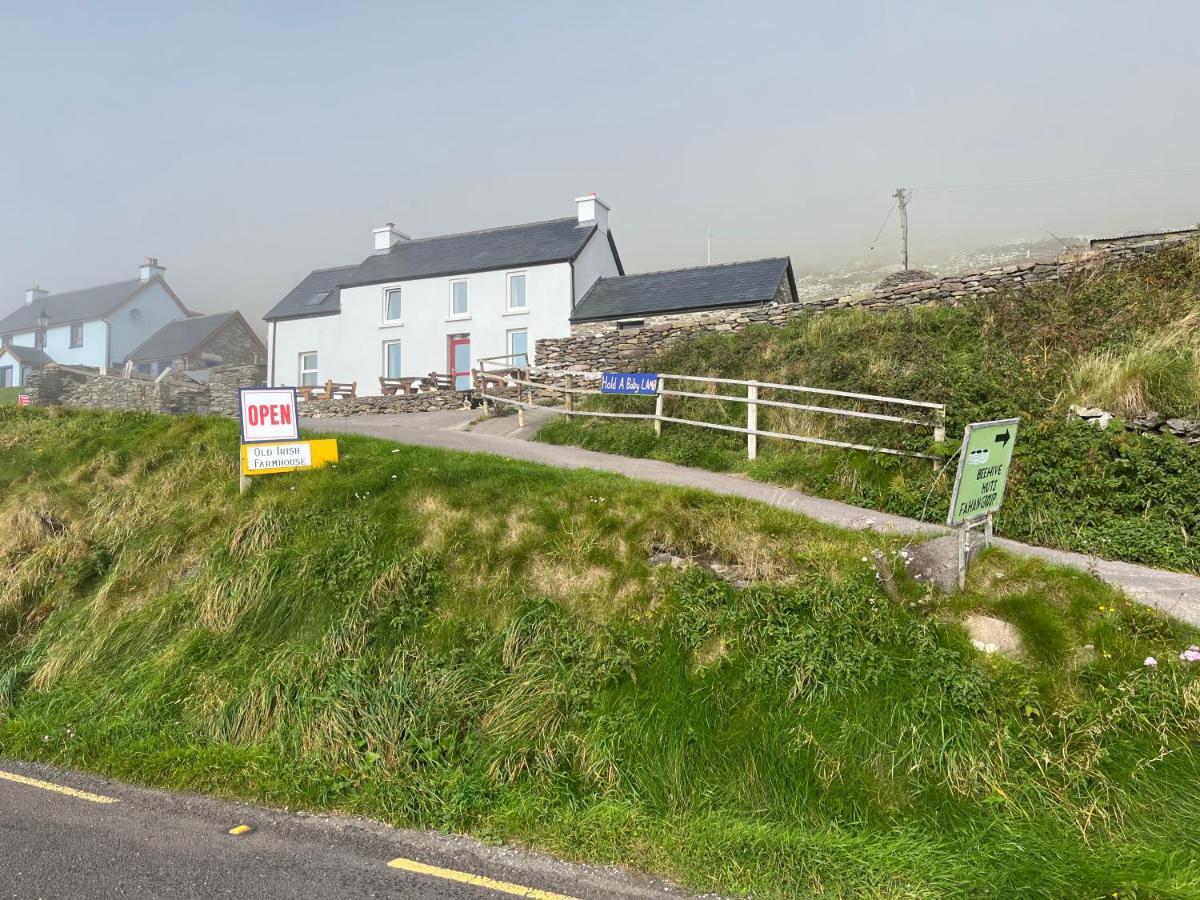 Old Irish Farmhouse Villa Dingle Exterior photo